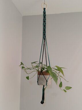 Plant Hanger